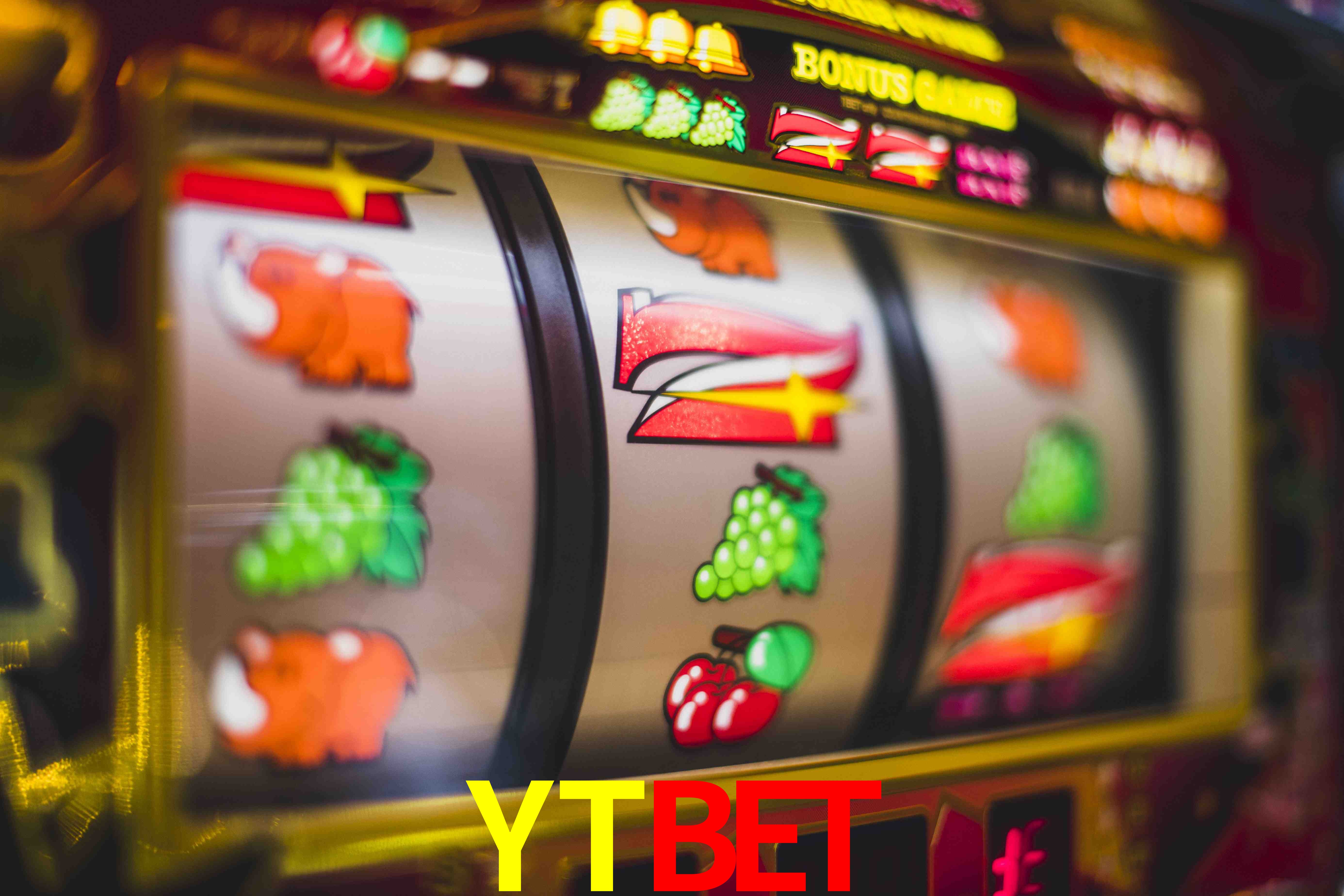 Basketball Betting YTBET